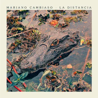 La Distancia by Mariano Cambiaso