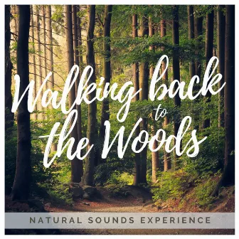 Walking Back to the woods by Sounds of Gaia