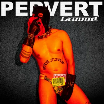 PERVERT GROUND by garfias del carmen