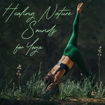 Healing Nature Sounds for Yoga by Hatha Yoga Music Zone