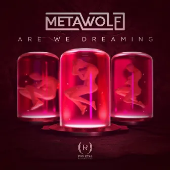 Are We Dreaming by Metawolf