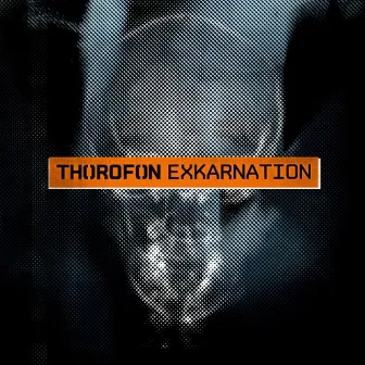 Exkarnation by thorofon