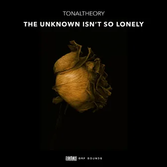 The Unknown Isn't so Lonely by TonalTheory