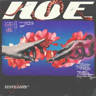 Hoe by PROUDFAM