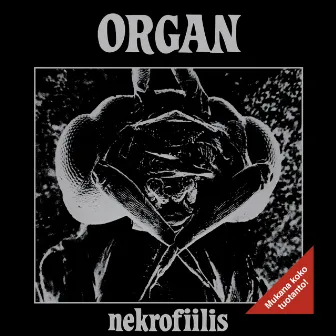 Nekrofiilis by Organ