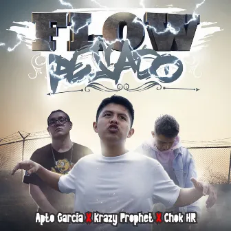 Flow Pesado by Krazy Prophet