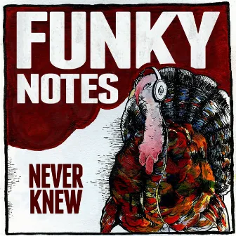 Never Knew by Funky Notes