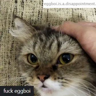 disappointment by eggboi