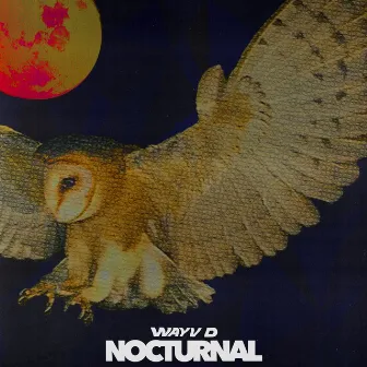 Nocturnal by Wayv D