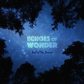 Echoes of Wonder by Salt Of The Sound