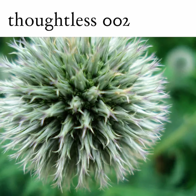 Milk Thistle