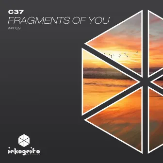 Fragments Of You by C37