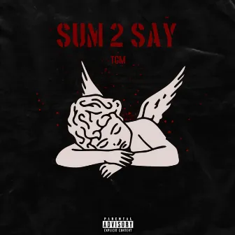 Sum 2 Say by Trap Garage Mafia