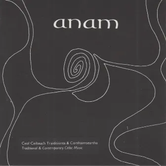 Traditional & Contemporary Celtic Music by Anam