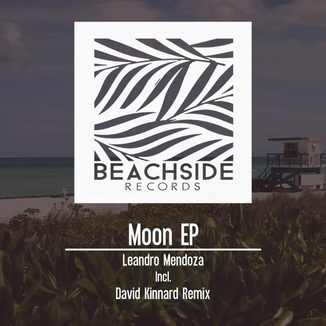 Moon - David Kinnard Remix