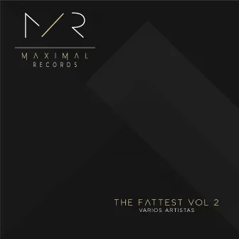 THE FATTEST VOL 2 by Maxikool