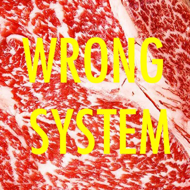 Wrong System - Nico Raibak Remix