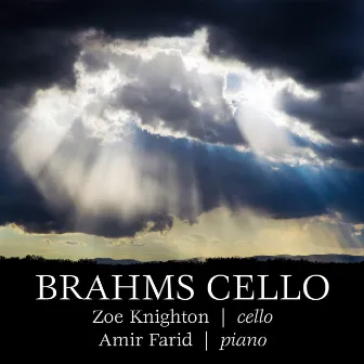 Brahms Cello (1) by Amir Farid