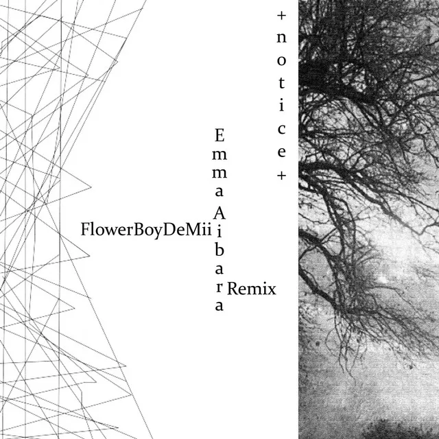 + n o t i c e + - FlowerBoyDeMii Remix