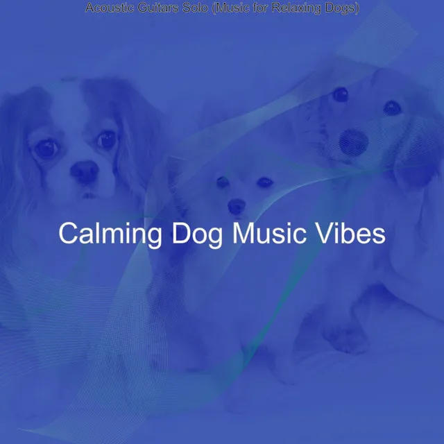 Classic Guitar Solos - Vibe for Doggy Stress