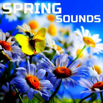 Spring Sounds by Universal Nature Soundscapes