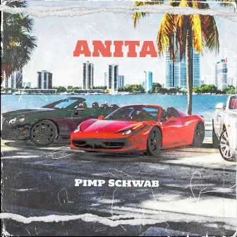 Anita by Pimp Schwab