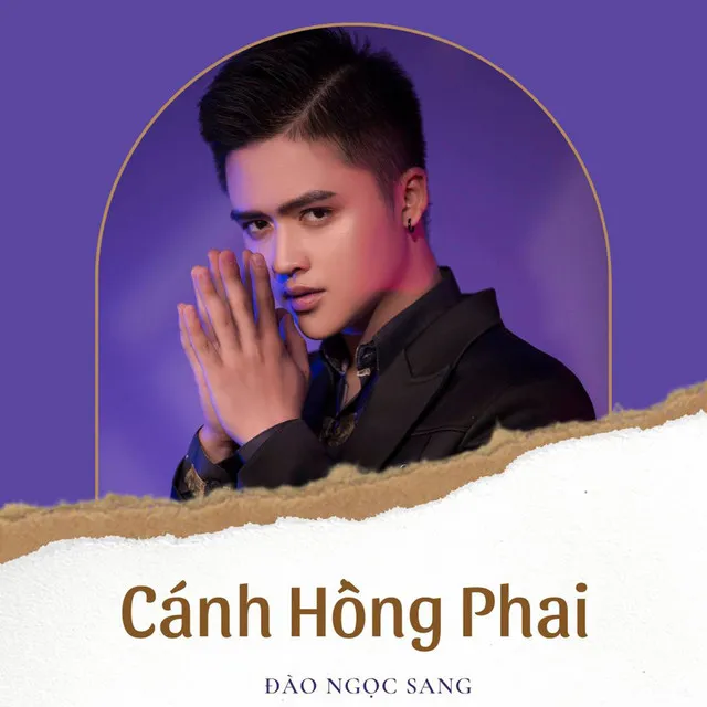 Cánh Hồng Phai