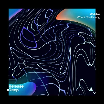 Where You Belong (Radio Edit) by Walden