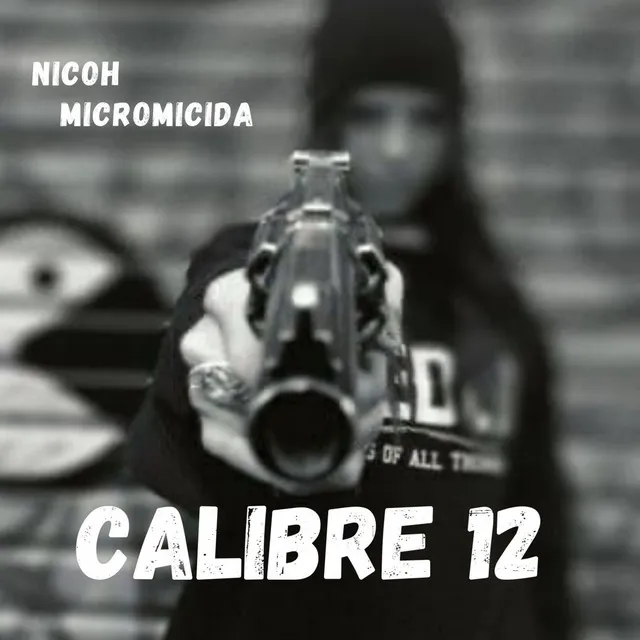 Calibre 12