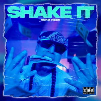 SHAKE IT by Neko Neek