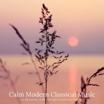 Calm Modern Classical Music: 14 Relaxing and Chilled Classical Pieces by Robyn Goodall