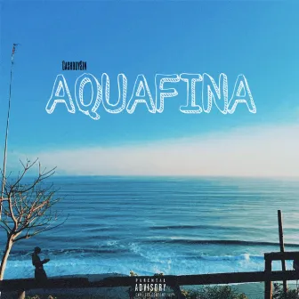 AQUAFINA by CashboySzn