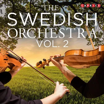 The Swedish Orchestra, Vol. 2 by Petri Sakari