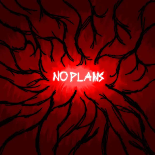 NO PLANS