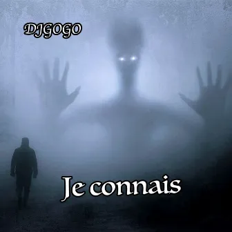 Je connais by DjGoGo