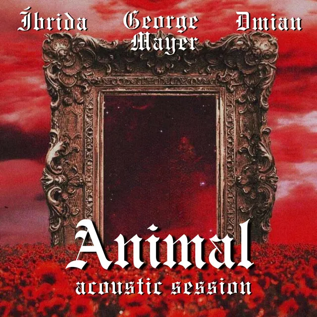 Animal - Acoustic Session