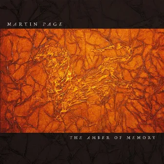 The Amber of Memory by Martin Page