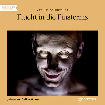 Flucht in die Finsternis (Ungekürzt) by Bettina Gmoser