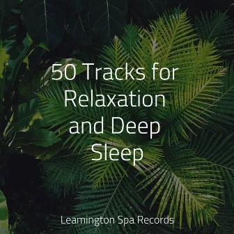 50 Tracks for Relaxation and Deep Sleep by Yoga Sounds