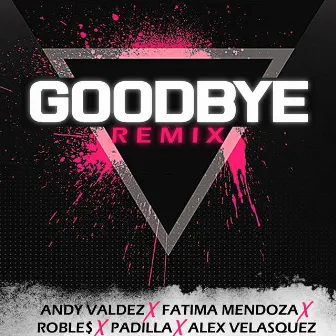 GoodBye (Remix) by Andy Valdez