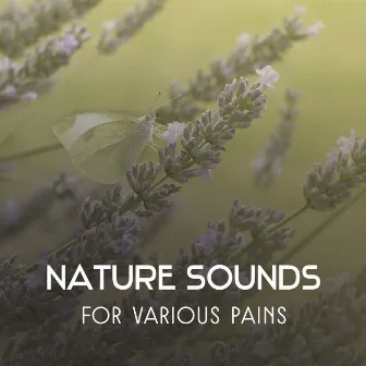 Nature Sounds for Various Pains – Hypnotic Music to Help You Fight with Physical & Mental Ailments, Therapeutic Melodies for Diseases Treatment by Natural Treatment Zone