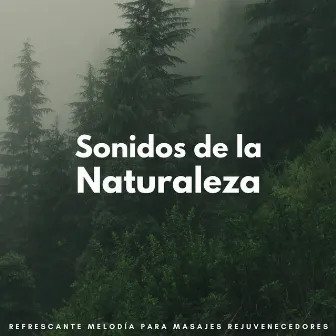 Sonidos De La Naturaleza: Refrescante Melodía Para Masajes Rejuvenecedores by Balneario y balneario