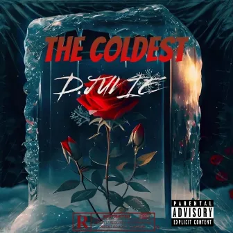 The Coldest by 