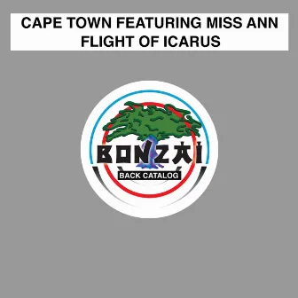 Flight Of Icarus by Cape Town