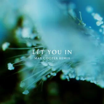 Let You In (Max Cooper Remix) by ANNA