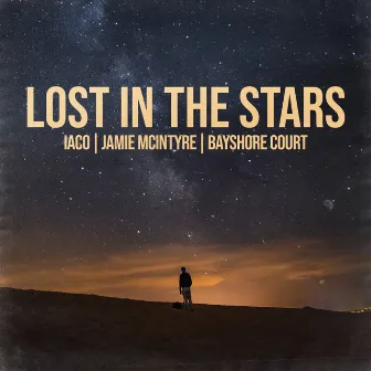 Lost In The Stars by Jamie McIntyre