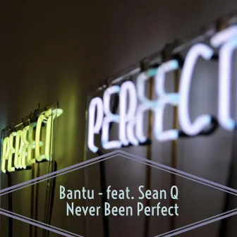 Never Been Perfect by BANTU