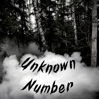 Unknown Number by Modest God