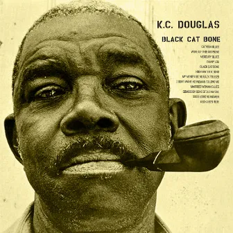 Black Cat Bone by K.C. Douglas