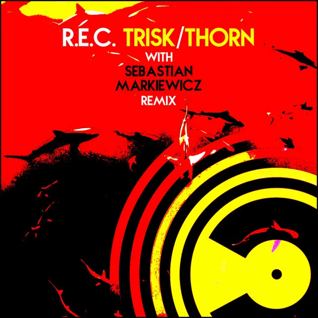 Trisk - Sebastian Markiewicz Remix